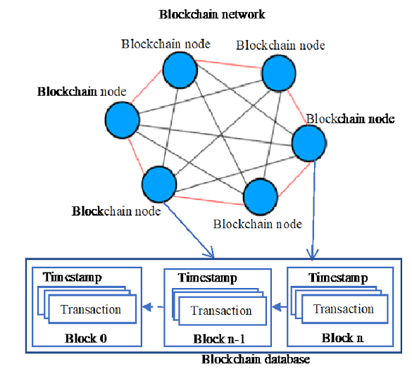 Image showing the structure and architecture of Blockchain network