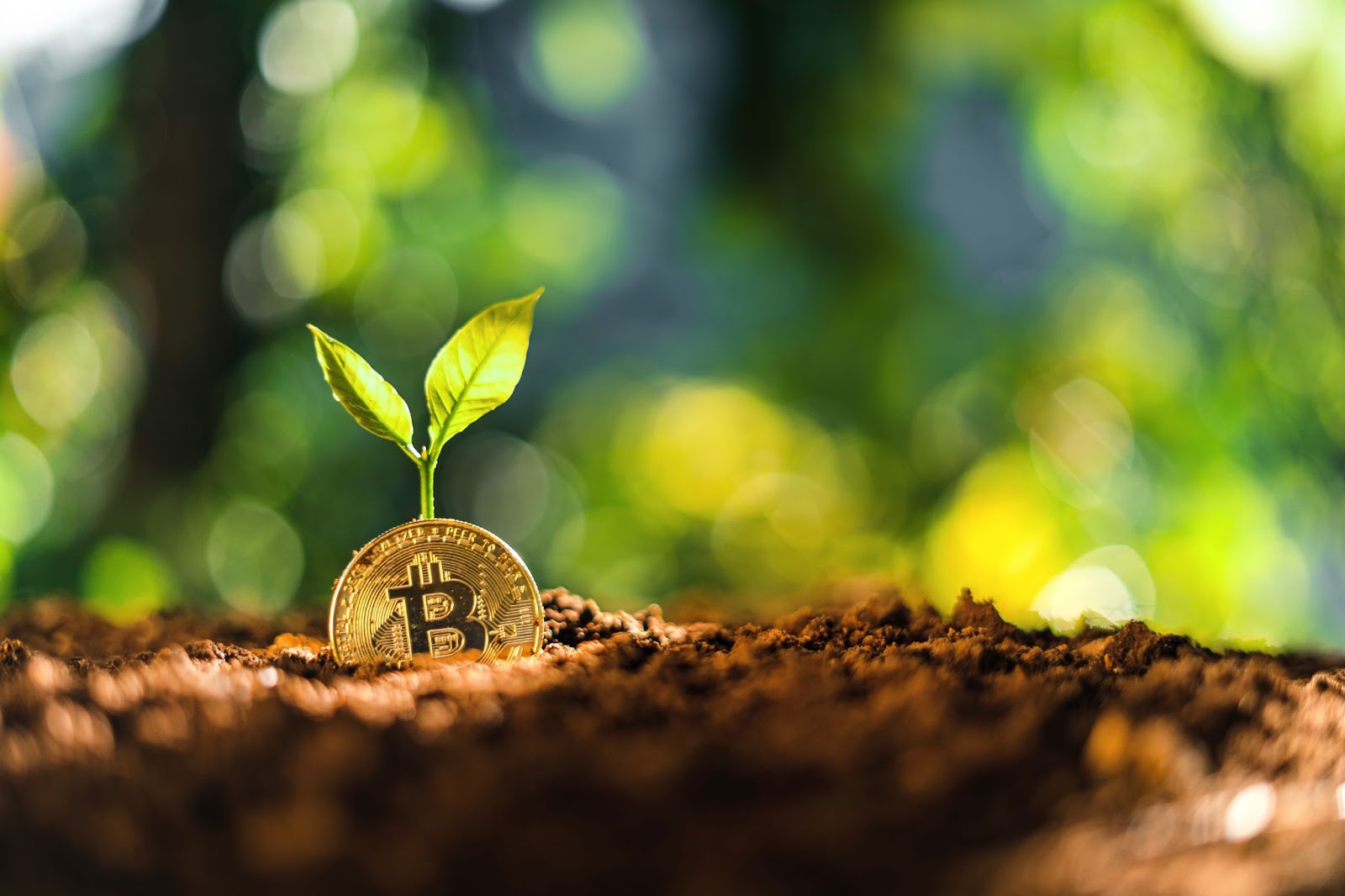Psychological-Aspects-of-Crypto-Trading