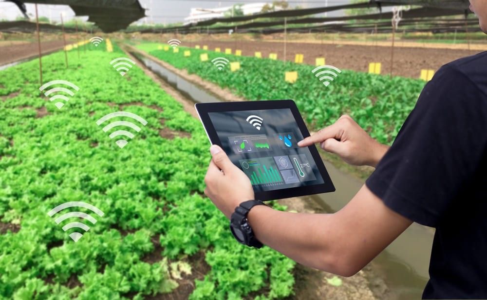 A farmer using a digital tablet to monitor and manage crops in a smart farm, with icons representing wireless connectivity and data analytics integrated into the agricultural field.