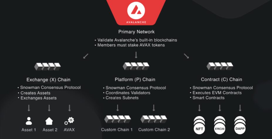 Primary Network image