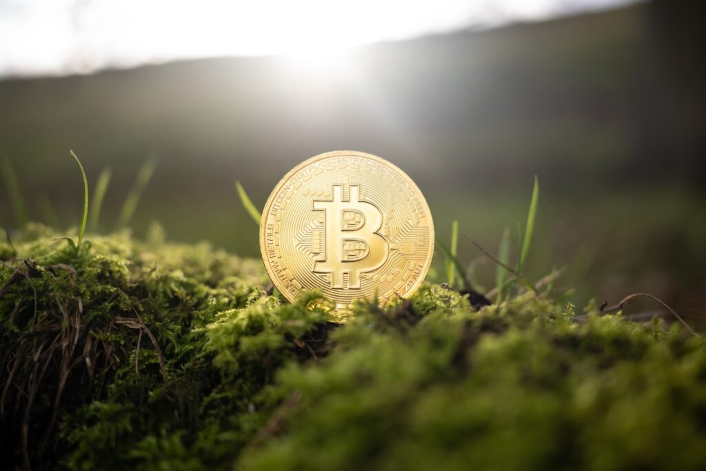 Bitcoin in the field of grass