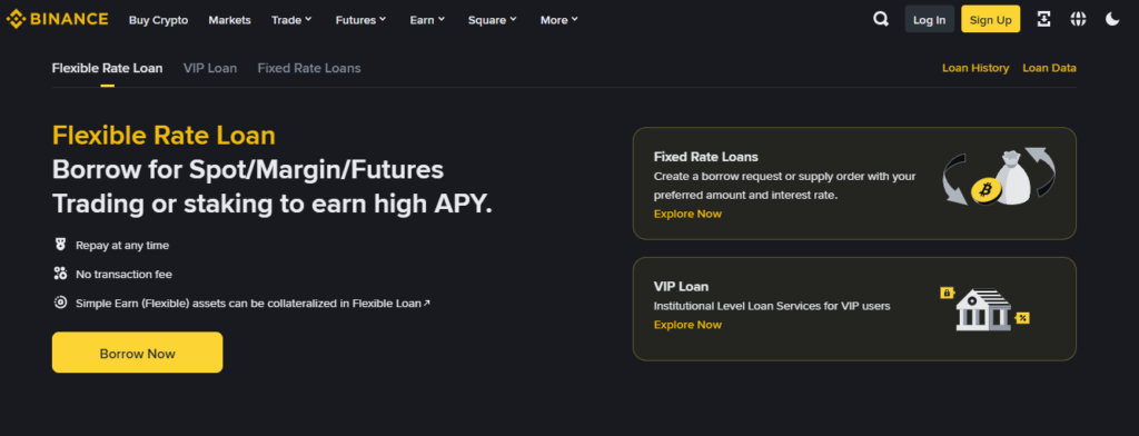 Binance loan page