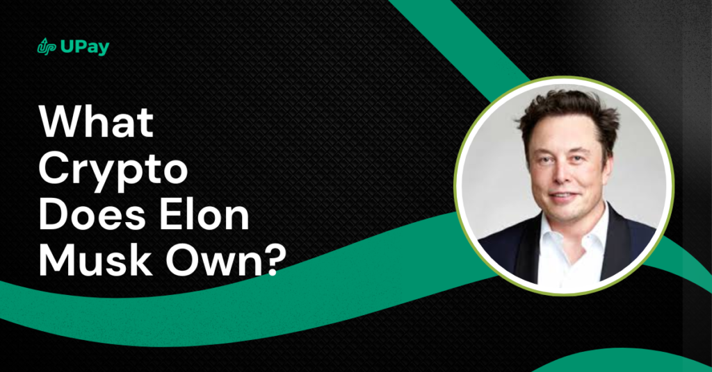what crypto does elon musk own