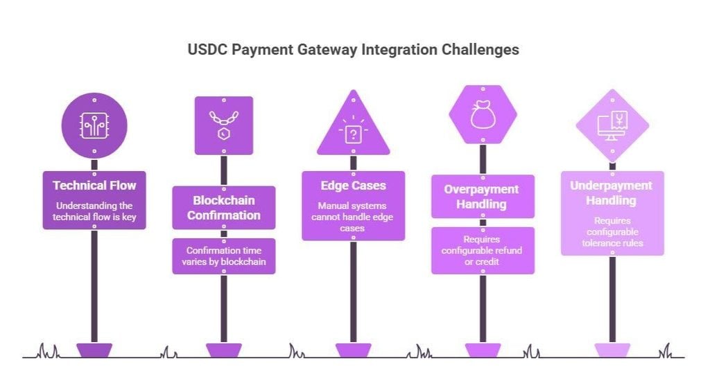 Usdc payment gateway integration challenges