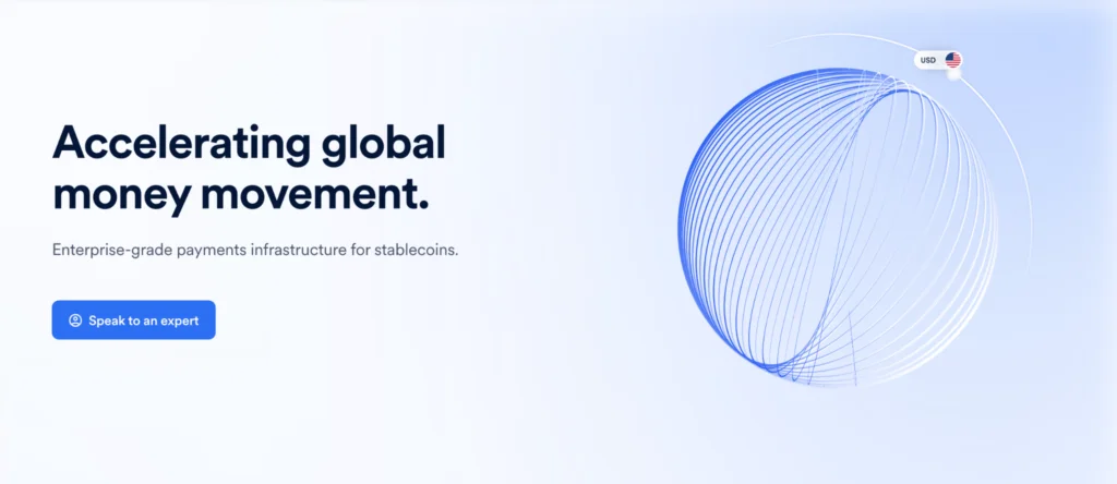 BVNK homepage interface