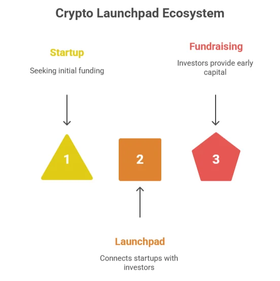 Crypto launchpad ecosystem